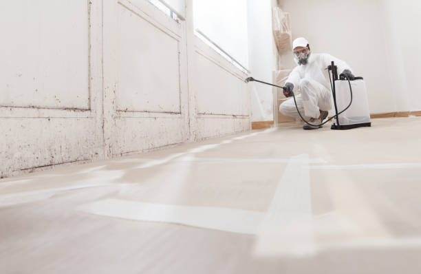 24/7 Emergency Basement Mold Removal experts in Fort Monmouth, NJ