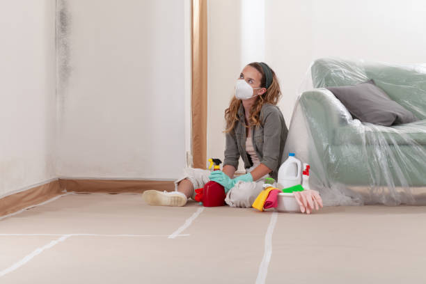 Reliable Basement Mold Removal contractor in Fort Monmouth, NJ by WQB Mold Removal